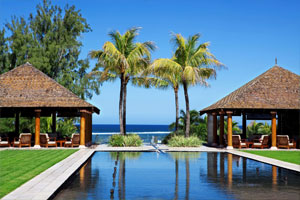 Luxury Resort with Coconut Trees